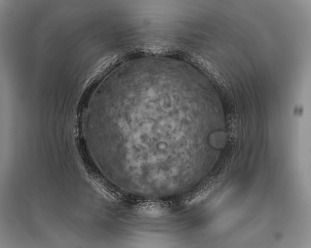 X0000095520738200712141445