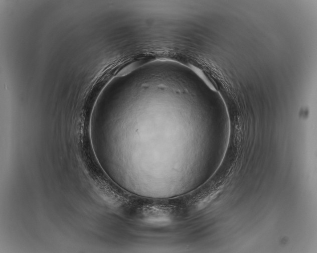 X0000095520739200712141445