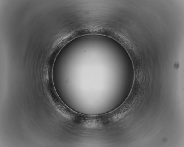 X0000095520740200712141445