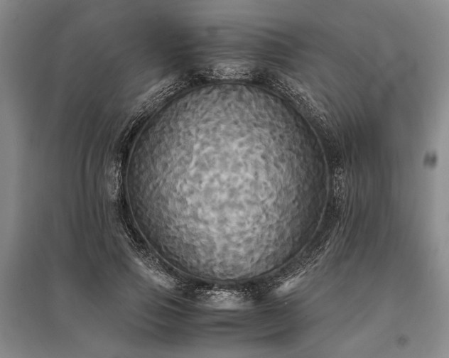 X0000095520741200712141445