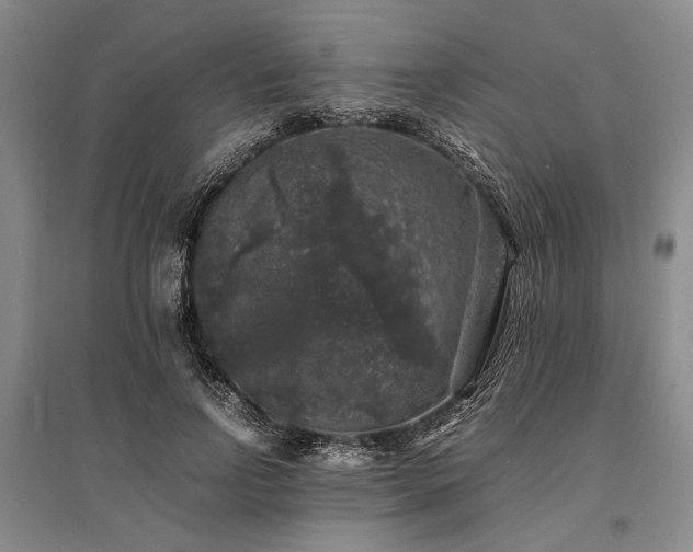 X0000095520742200712141445