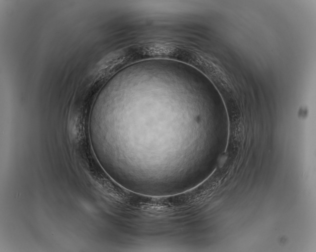X0000095520743200712141445