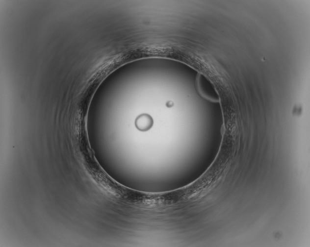 X0000095520744200712141445
