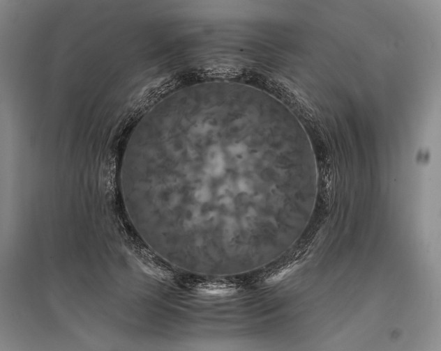 X0000095520745200712141445