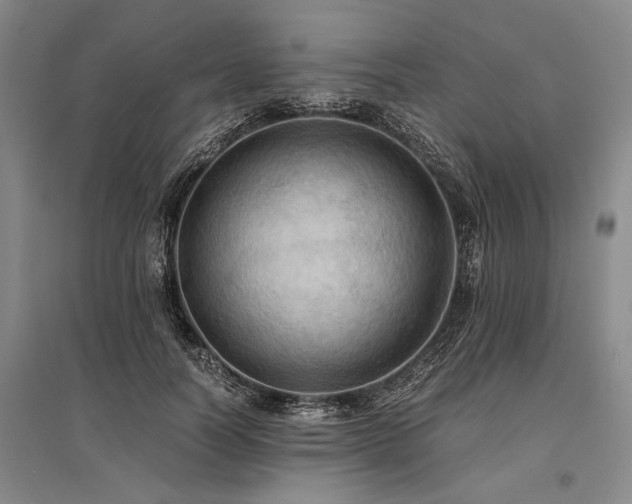 X0000095520746200712141445