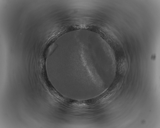 X0000095520747200712141445