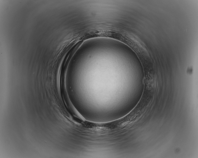 X0000095520748200712141445