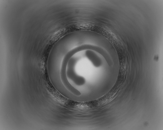 X0000095520749200712141445