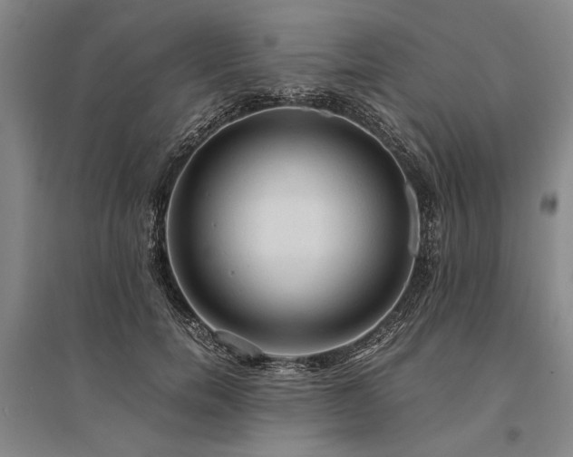 X0000095520750200712141445