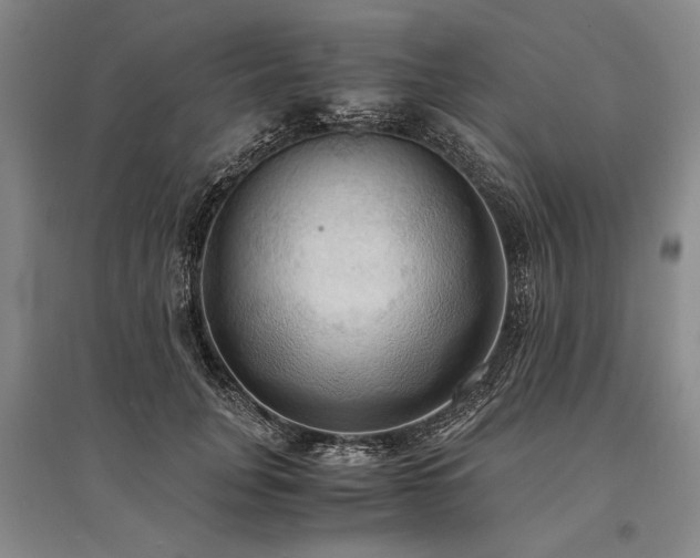 X0000095520751200712141445