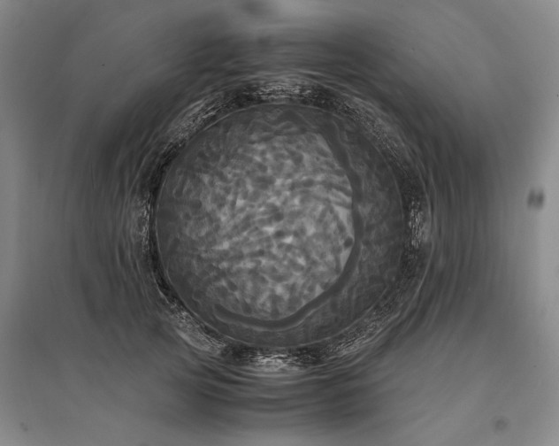 X0000095520753200712141445