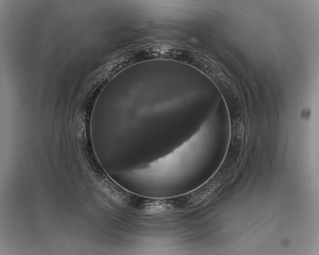 X0000095520754200712141445