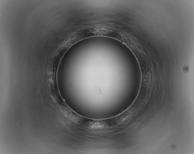 X0000095520755200712141446
