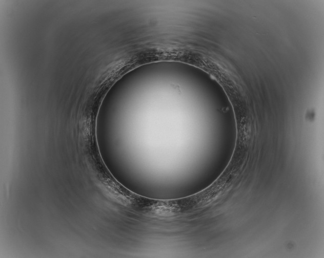 X0000095520756200712141446