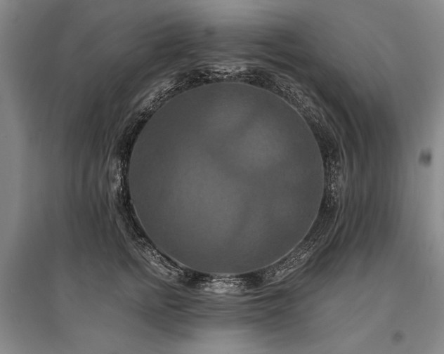 X0000095520758200712141446
