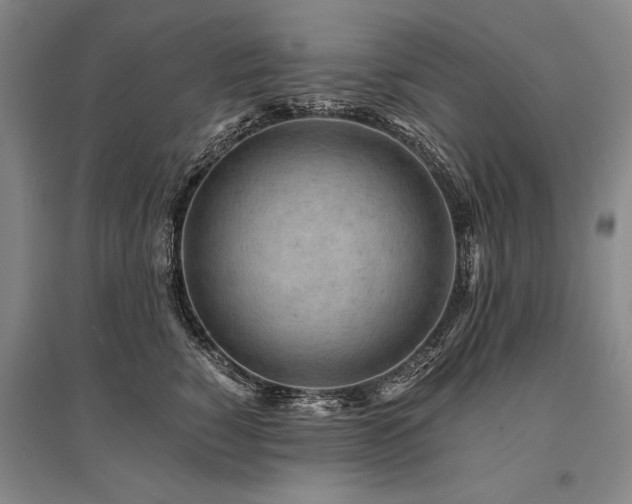 X0000095520760200712141446