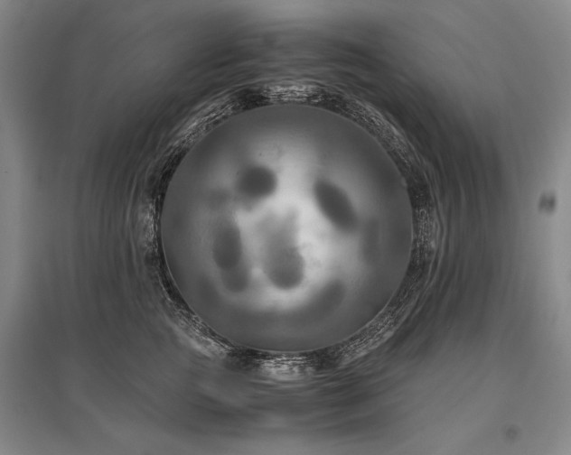 X0000095520761200712141446