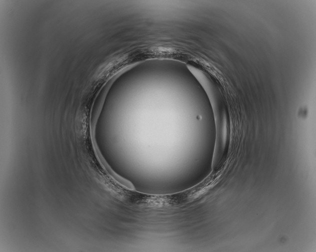 X0000095520762200712141446