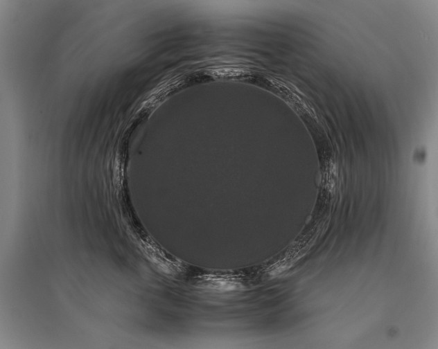 X0000095520763200712141446