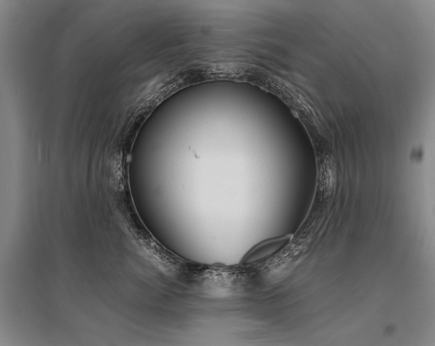 X0000095520764200712141446