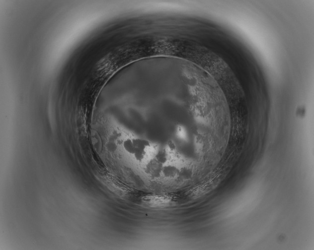 X0000095520765200712141446