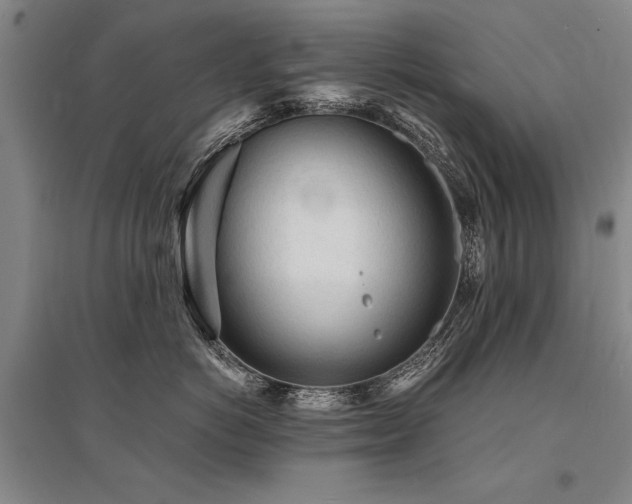 X0000095520766200712141446