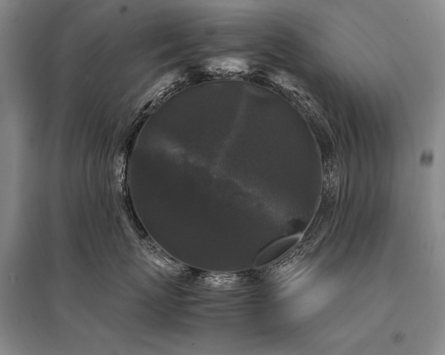 X0000095520767200712141446