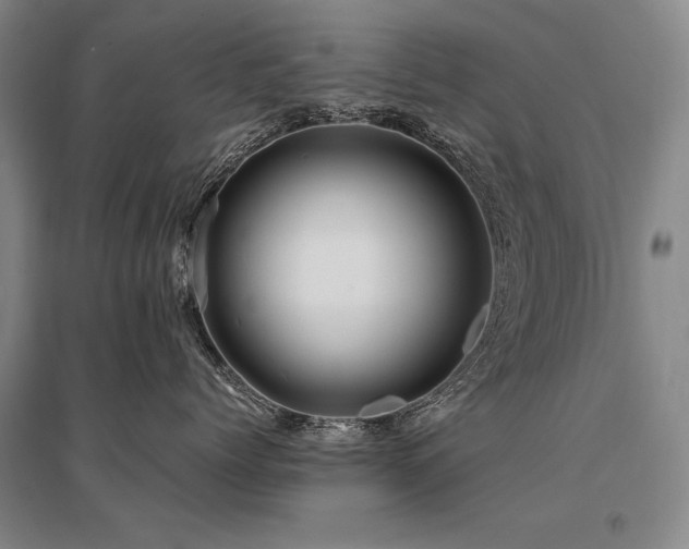 X0000095520768200712141446