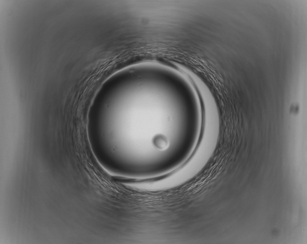 X0000095520769200712141445