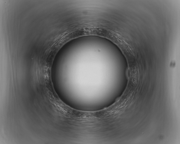 X0000095520770200712141445