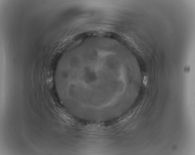 X0000095520771200712141445