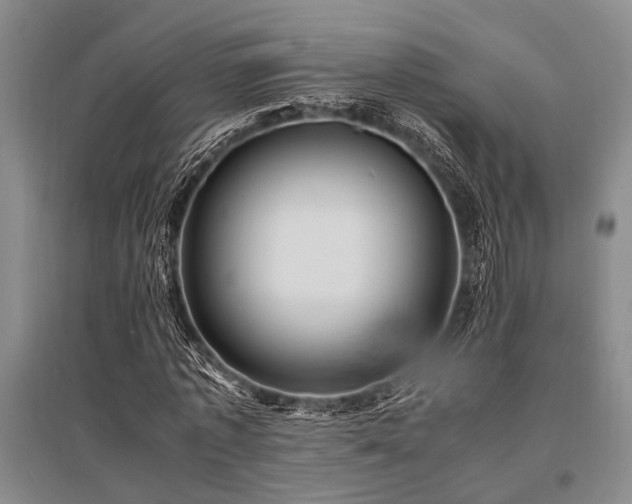 X0000095520773200712141445