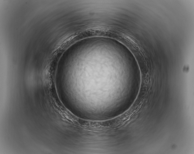 X0000095520774200712141445