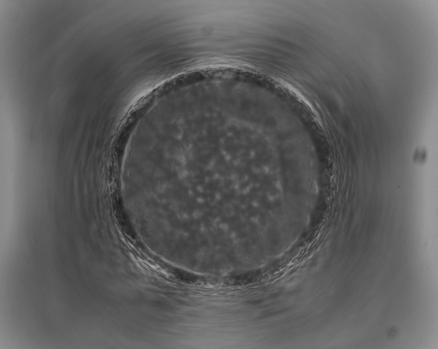 X0000095520775200712141445