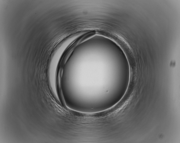 X0000095520777200712141445