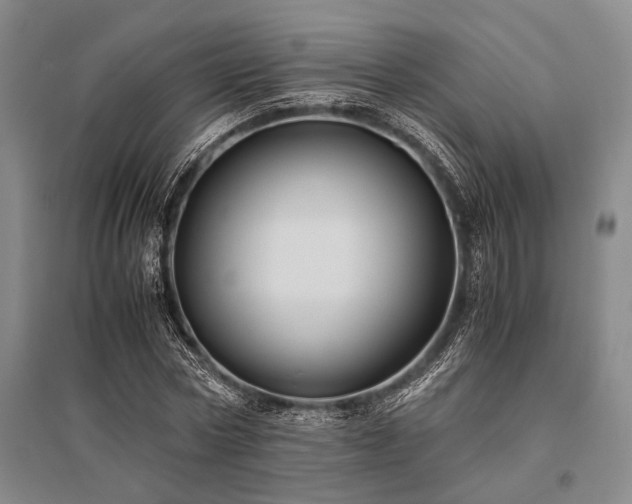 X0000095520778200712141445