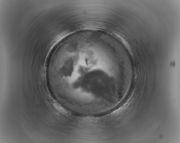 X0000095520779200712141445
