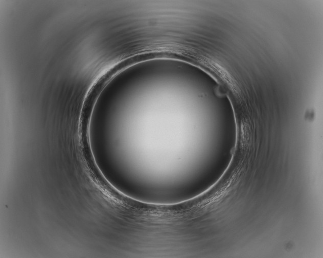 X0000095520780200712141445