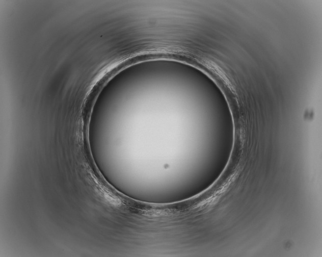 X0000095520781200712141445