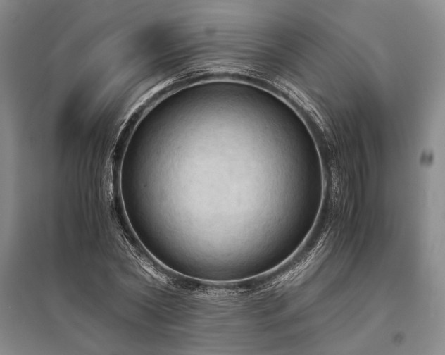 X0000095520782200712141445