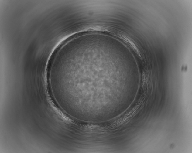 X0000095520784200712141445
