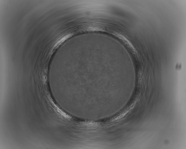 X0000095520785200712141445