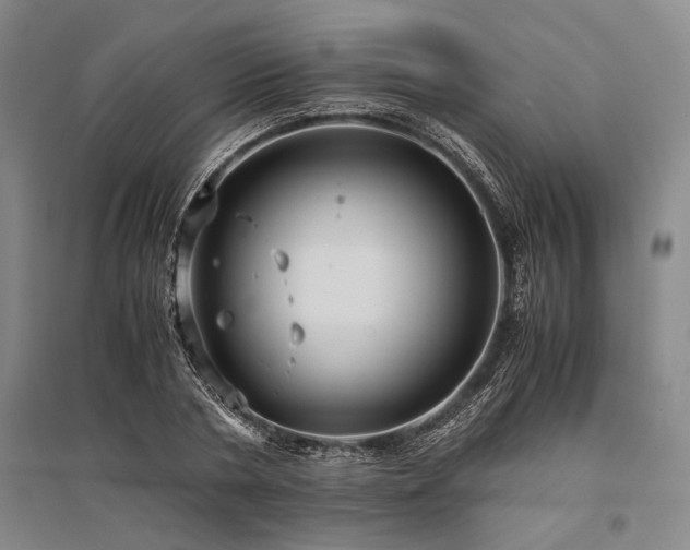 X0000095520786200712141445