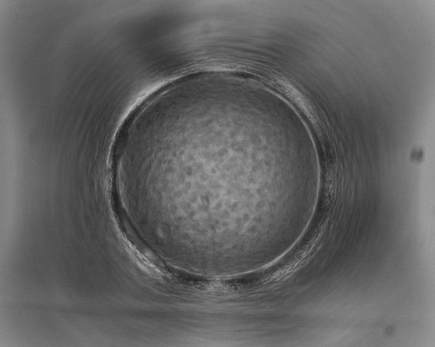 X0000095520787200712141445