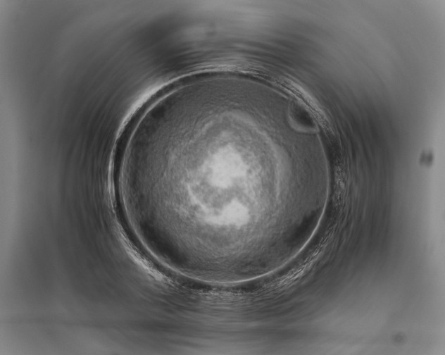 X0000095520788200712141445