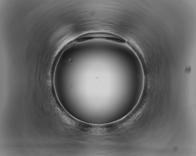 X0000095520789200712141445