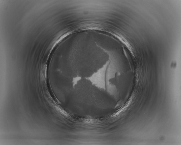 X0000095520790200712141445