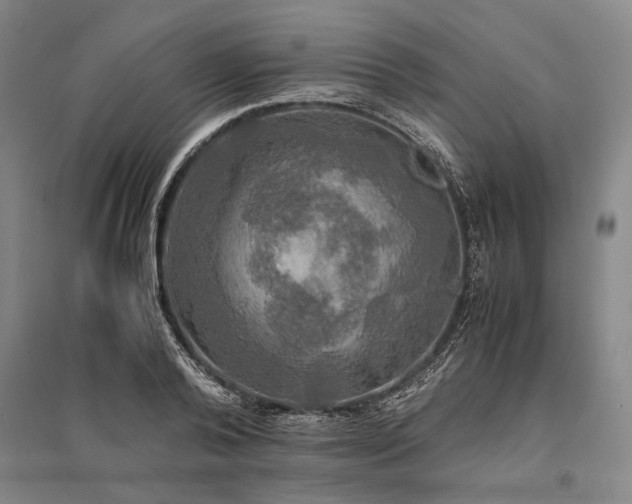 X0000095520792200712141445