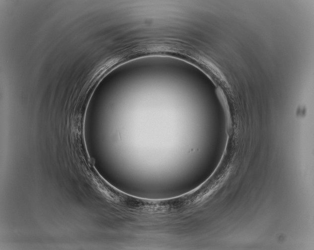 X0000095520793200712141445