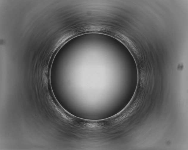 X0000095520794200712141445